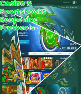 Casino net