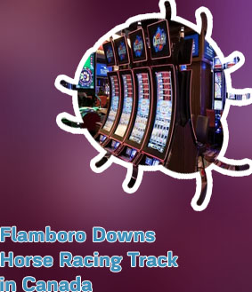 Flamboro casino