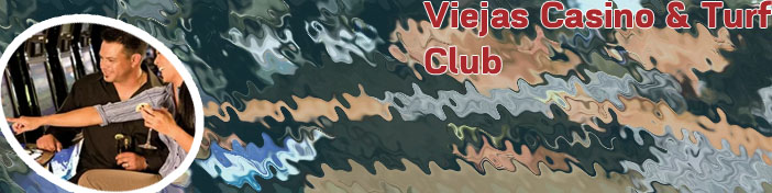 Viejas casino website